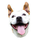 Custom-Shaped Stickers