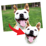 Custom-Shaped Stickers