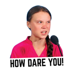Greta How Dare You Sticker