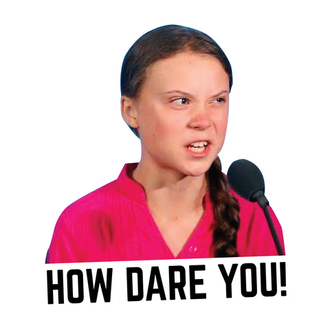 Greta How Dare You Sticker