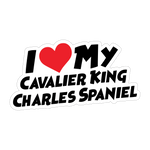 I Love My Cavalier King Charles Spaniel Sticker