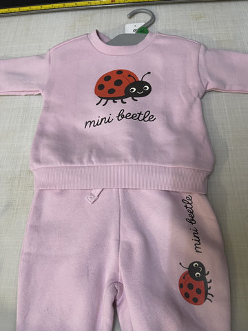 Custom Order - Mini Beetle
