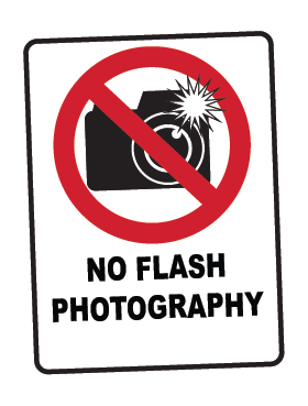 No Flash Photography Sticker