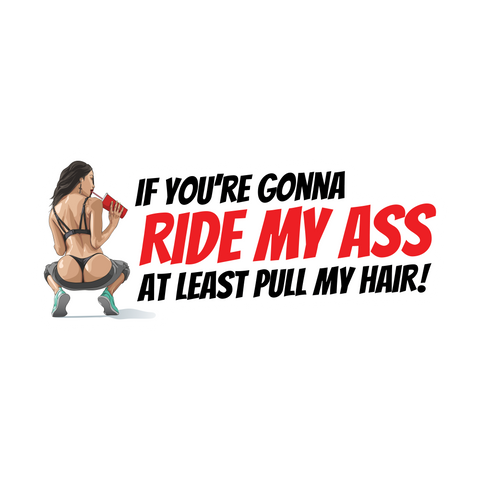 If you're gonna ride my ass at least pull my hair! Sticker