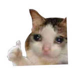 Sad Boi Cat Sticker