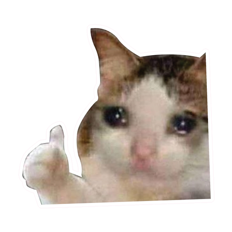 Sad Boi Cat Sticker